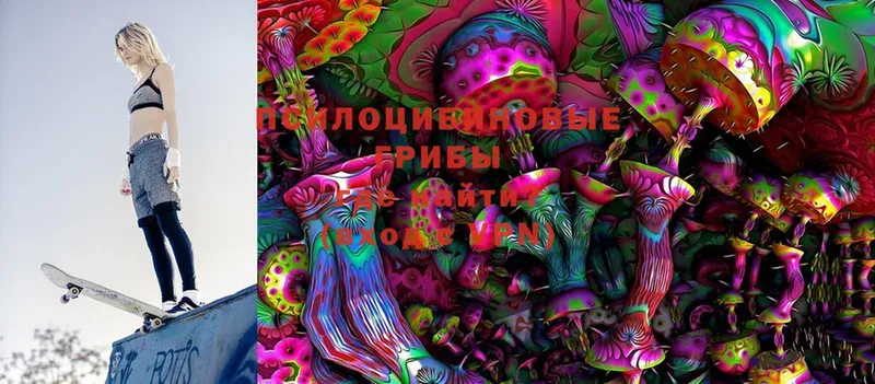 Псилоцибиновые грибы MAGIC MUSHROOMS  Тетюши 